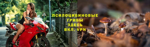 прущие крисы Чита