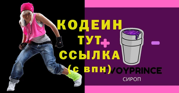 МДПВ Нижний Тагил
