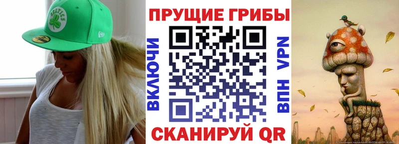 Галлюциногенные грибы прущие грибы  Кисловодск 